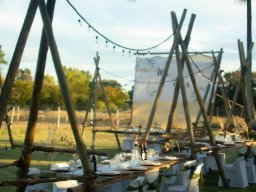 Wedding Pics